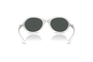 Vista posteriore Diesel DL3009U (202987)