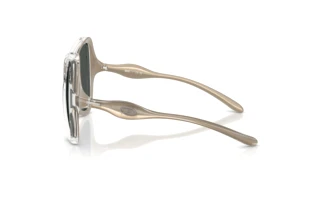 Vista laterale Diesel DL3010U (203587)