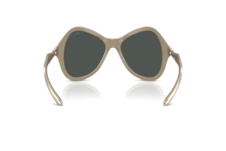 Vista posteriore Diesel DL3010U (203587)