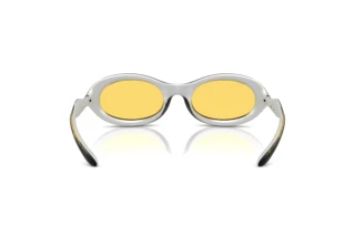 Vista posteriore Diesel DL3011U (203085)