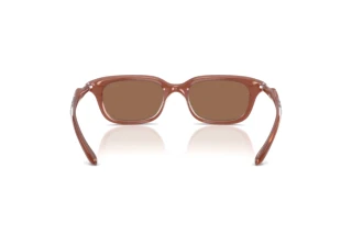 Vista posteriore Diesel DL3013U (203373)