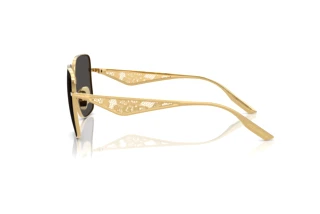 Vista laterale Dolce & Gabbana DG2310 (02/87)