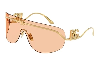 Dolce & Gabbana DG 2320 02/73