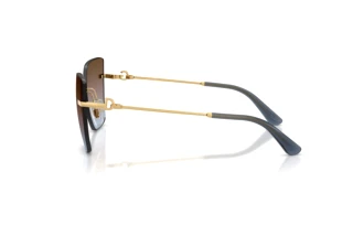 Vista laterale Dolce & Gabbana DG2321 (02/48)