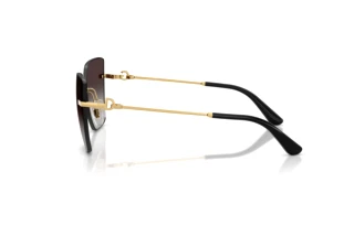 Vista laterale Dolce & Gabbana DG2321 (02/8G)