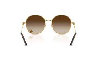 Vista posteriore Dolce & Gabbana DG2324 (02/13)