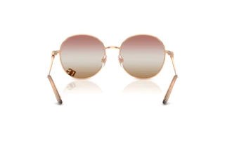 Vista posteriore Dolce & Gabbana DG2324 (1298EL)