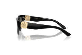 Vista laterale Dolce & Gabbana DG4469 (501/87)