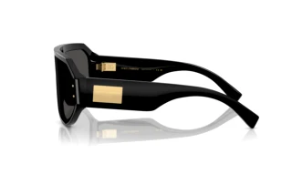 Vista laterale Dolce & Gabbana DG4481 (501/87)