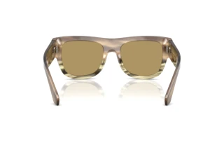 Vista posteriore Dolce & Gabbana DG4484 (3439/2)