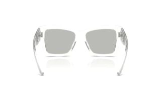 Vista posteriore Dolce & Gabbana DG4493 (31338V)