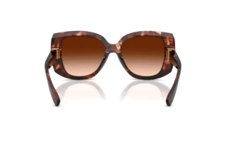 Vista posteriore Dolce & Gabbana DG4495 (322274)