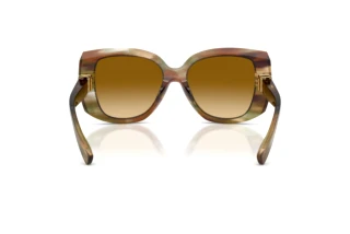 Vista posteriore Dolce & Gabbana DG4495 (34462L)