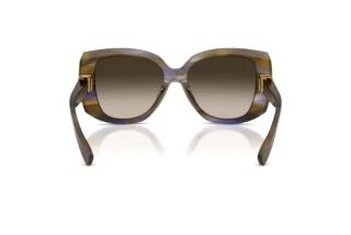 Vista posteriore Dolce & Gabbana DG4495 (344713)