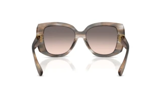 Vista posteriore Dolce & Gabbana DG4495 (34493B)