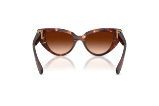 Vista posteriore Dolce & Gabbana DG4497 (322274)