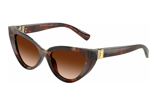 Dolce & Gabbana DG4497 322274 Brown GradientDark Red Havana