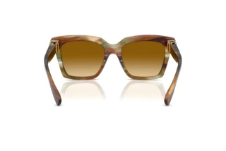 Vista posteriore Dolce & Gabbana DG4498 (34462L)