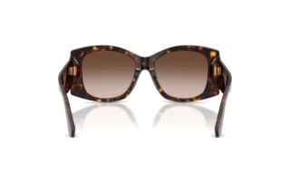 Vista posteriore Dolce & Gabbana DG4501 (502/13)