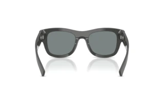 Vista posteriore Dolce & Gabbana DG4509 (3090/1)