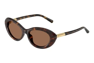 Vista frontale Dolce & Gabbana DG4519 (502/73)