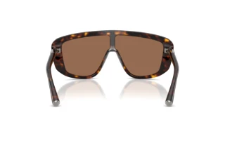 Vista posteriore Dolce & Gabbana DG4520 (502/73)