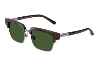 Vista frontale Dolce & Gabbana DG4522 (502/71)