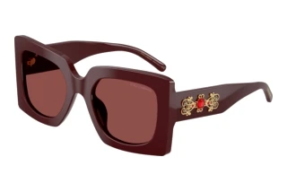 Vista frontale Dolce & Gabbana DG4525B (309175)