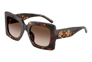 Vista frontale Dolce & Gabbana DG4525B (502/13)