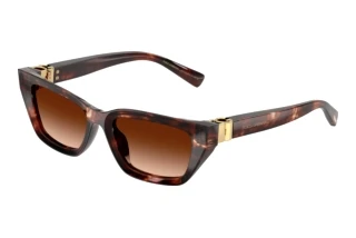 Vista frontale Dolce & Gabbana DG4532 (322274)