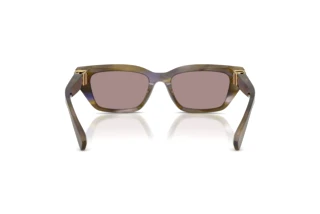 Vista posteriore Dolce & Gabbana DG4532 (3447LA)