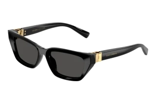 Vista frontale Dolce & Gabbana DG4532 (501/87)