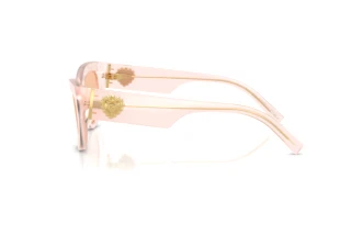 Vista laterale Dolce & Gabbana DG4536 (304173)