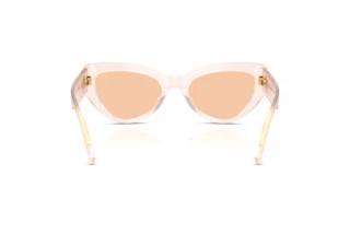 Vista posteriore Dolce & Gabbana DG4536 (304173)