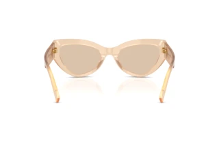 Vista posteriore Dolce & Gabbana DG4536 (308993)