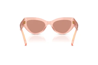 Vista posteriore Dolce & Gabbana DG4536 (338496)
