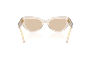 Vista posteriore Dolce & Gabbana DG4536 (342093)