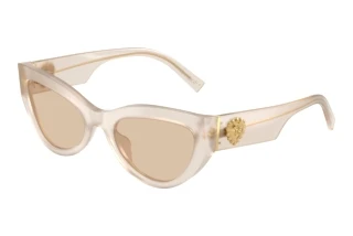 Vista frontale Dolce & Gabbana DG4536 (342093)