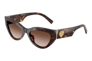 Vista frontale Dolce & Gabbana DG4536 (502/13)