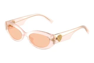 Vista frontale Dolce & Gabbana DG4537 (304173)