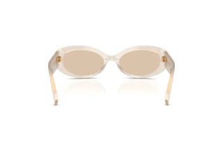Vista posteriore Dolce & Gabbana DG4537 (342093)