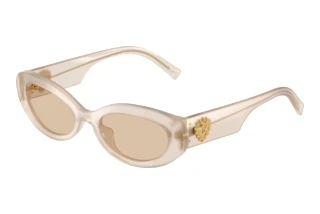 Vista frontale Dolce & Gabbana DG4537 (342093)