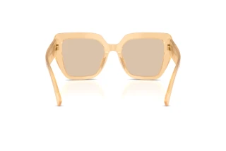 Vista posteriore Dolce & Gabbana DG4538 (308993)