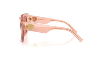 Vista laterale Dolce & Gabbana DG4538 (338496)