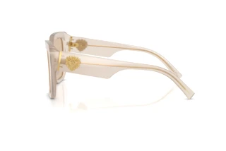 Vista laterale Dolce & Gabbana DG4538 (342093)