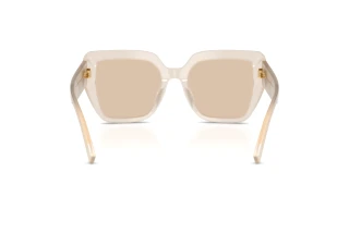 Vista posteriore Dolce & Gabbana DG4538 (342093)