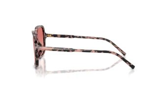 Vista laterale Dolce & Gabbana DG4539 (3476A5)