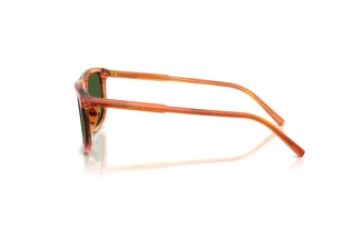 Vista laterale Dolce & Gabbana DG4542 (348371)