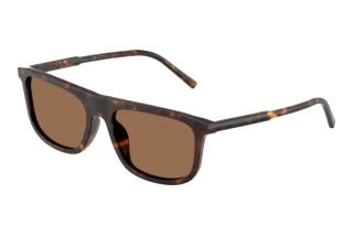 Vista frontale Dolce & Gabbana DG4542 (502/73)