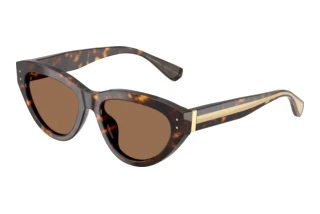 Vista frontale Dolce & Gabbana DG4558 (502/73)